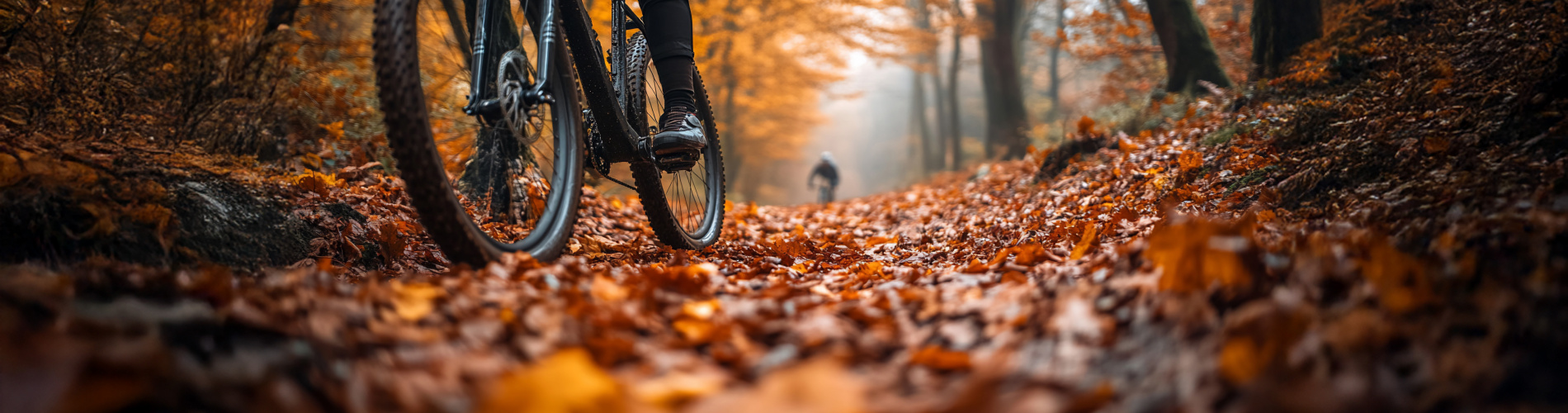 Fietsen Markoen